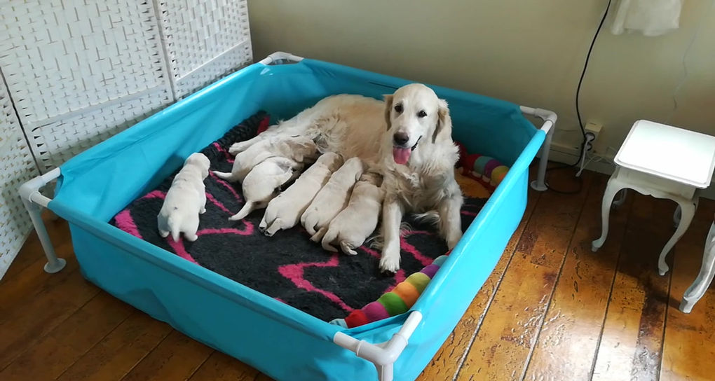 VID_20190510_152542